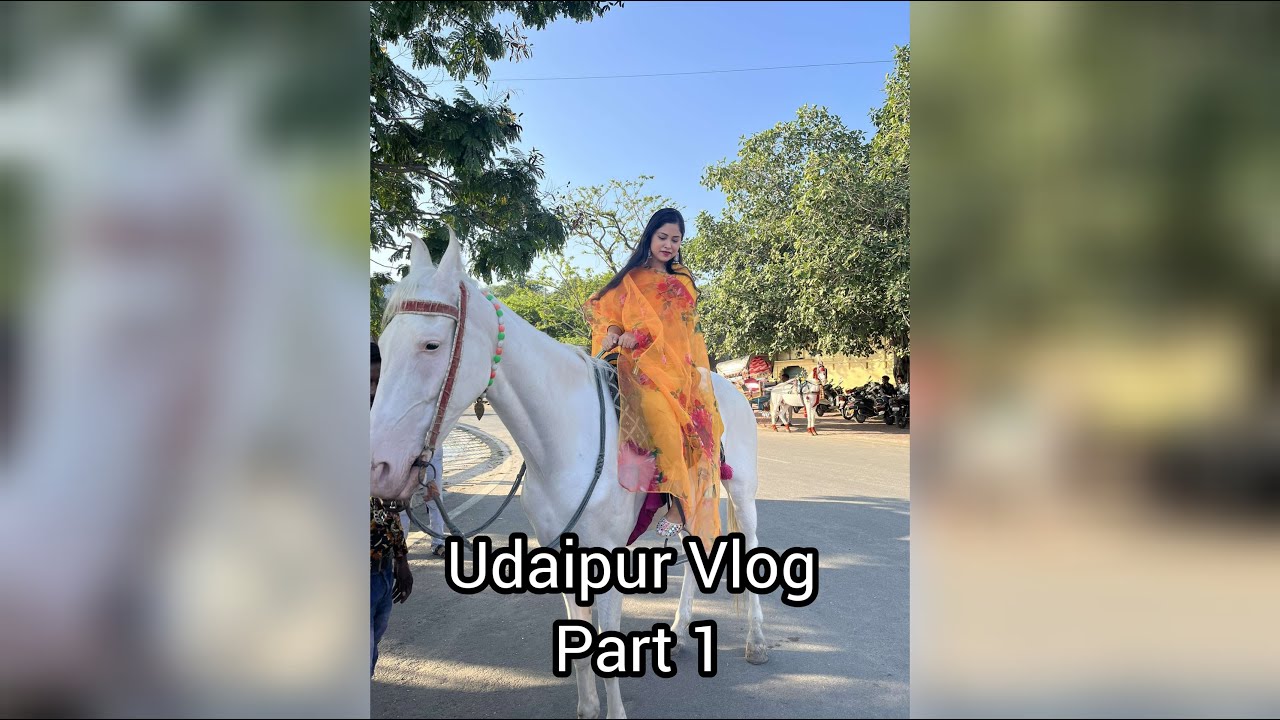 Udaipur Vlog | Part 1 | Udaipur Must Visit Places | Rajasthan | Udaipur Journey | उदयपुर | राजस्थान
