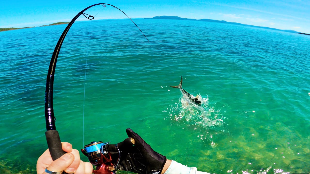 Ocean Fishing with Very Light Tackle!