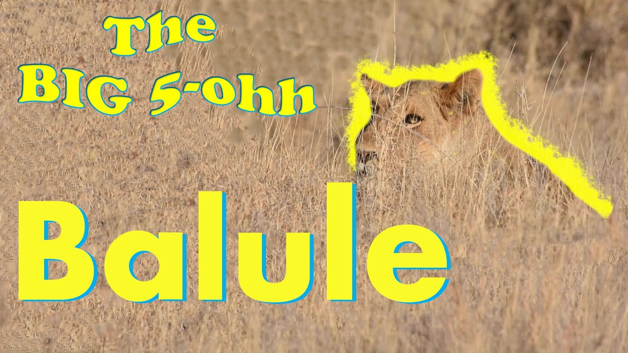 Kruger National Park: Balule Rustic Campsite, A place to 