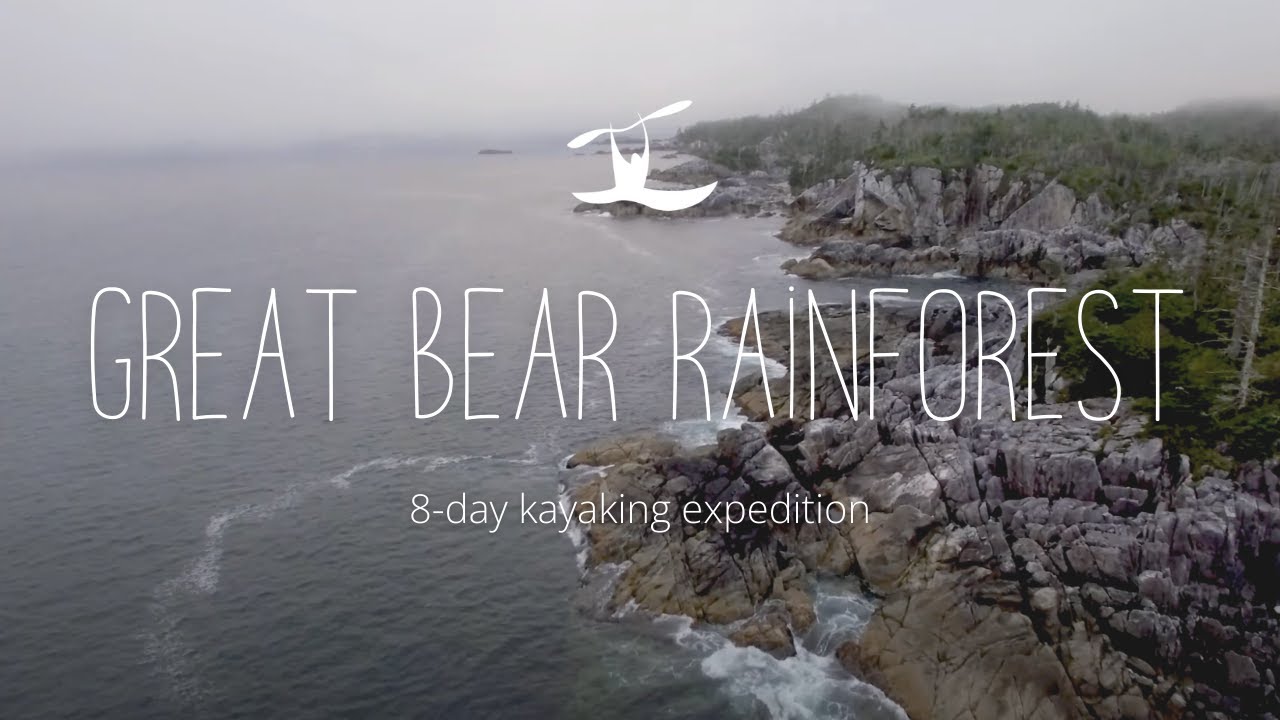 8-Day Great Bear Rainforest Expedition