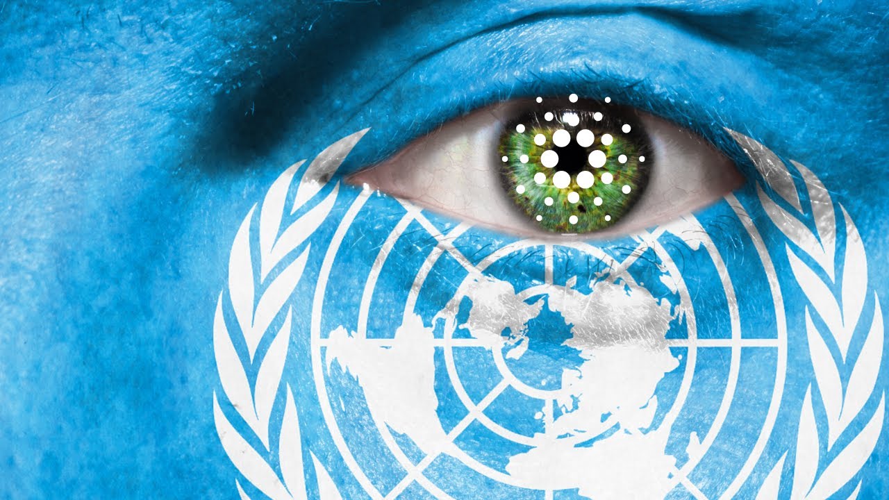 HUGE NEWS! United Nations Joins Cardano, Bittrex Update, ADA Price Analysis