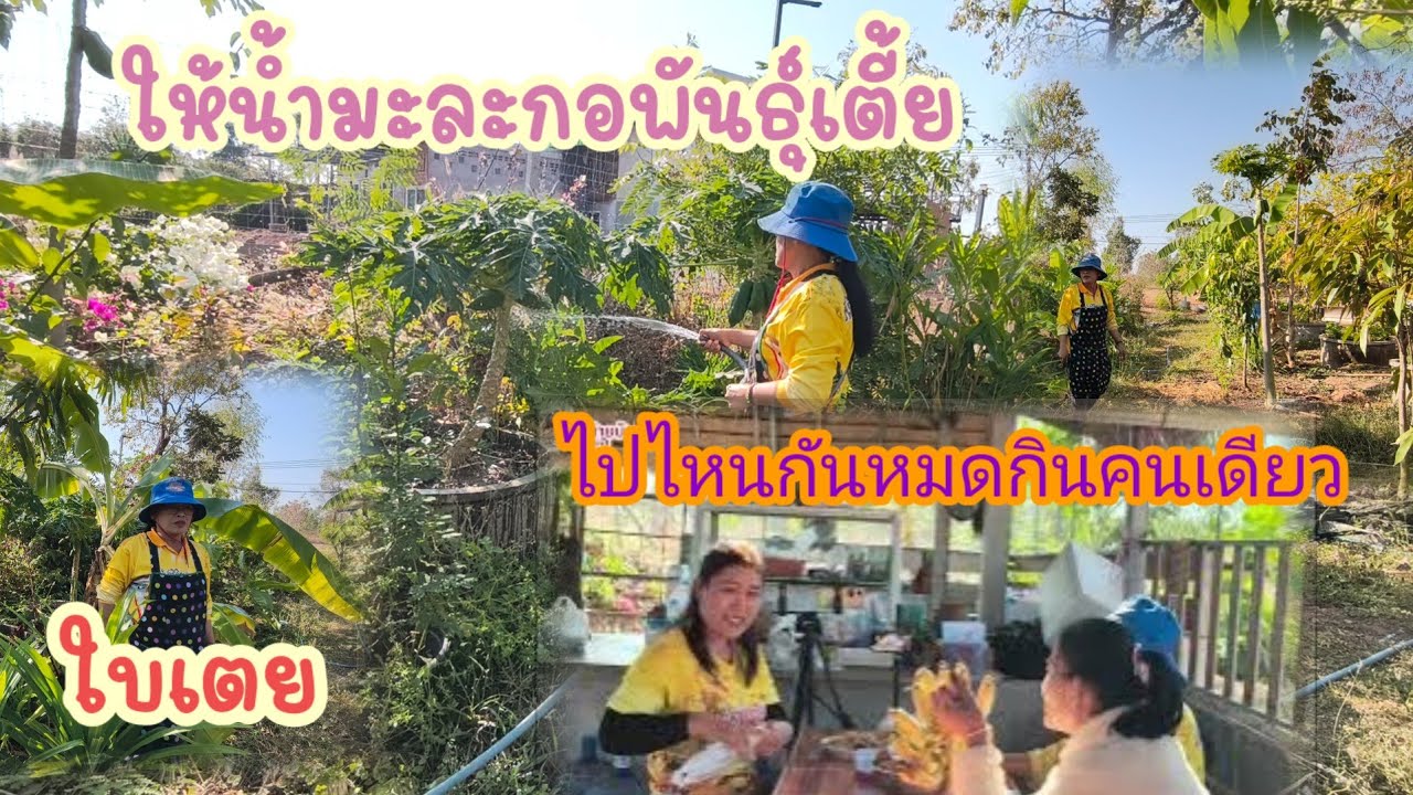 กินคนเดียวเพื่อนๆไปไหนหมด