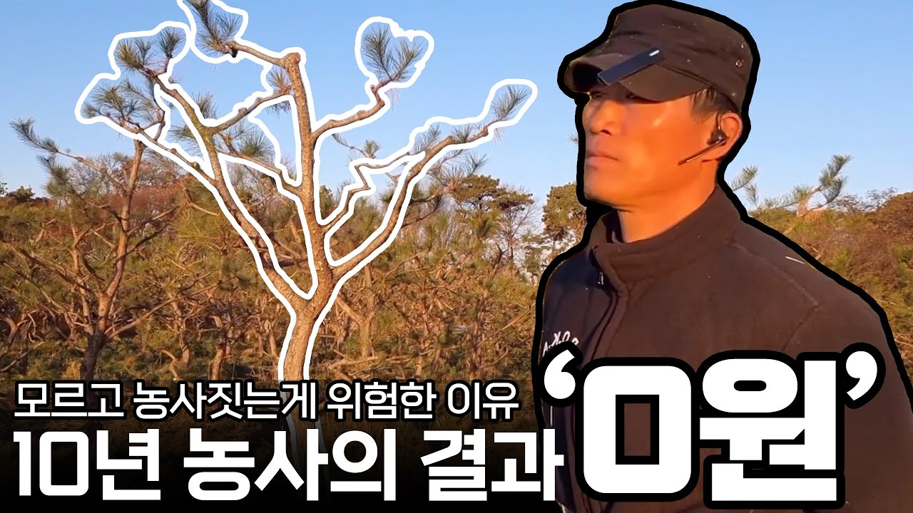 싹 다 베어내세요...