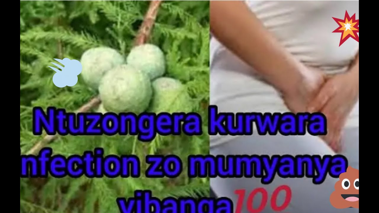 Ivure burundu infection🛬🧳🎐 zo muunyanyaa yibanga unazikiingire ukoresheje ibimera🍹🫗💒🌃