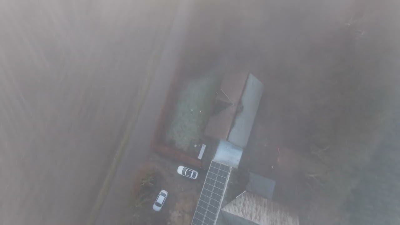 Low fog and sunshine