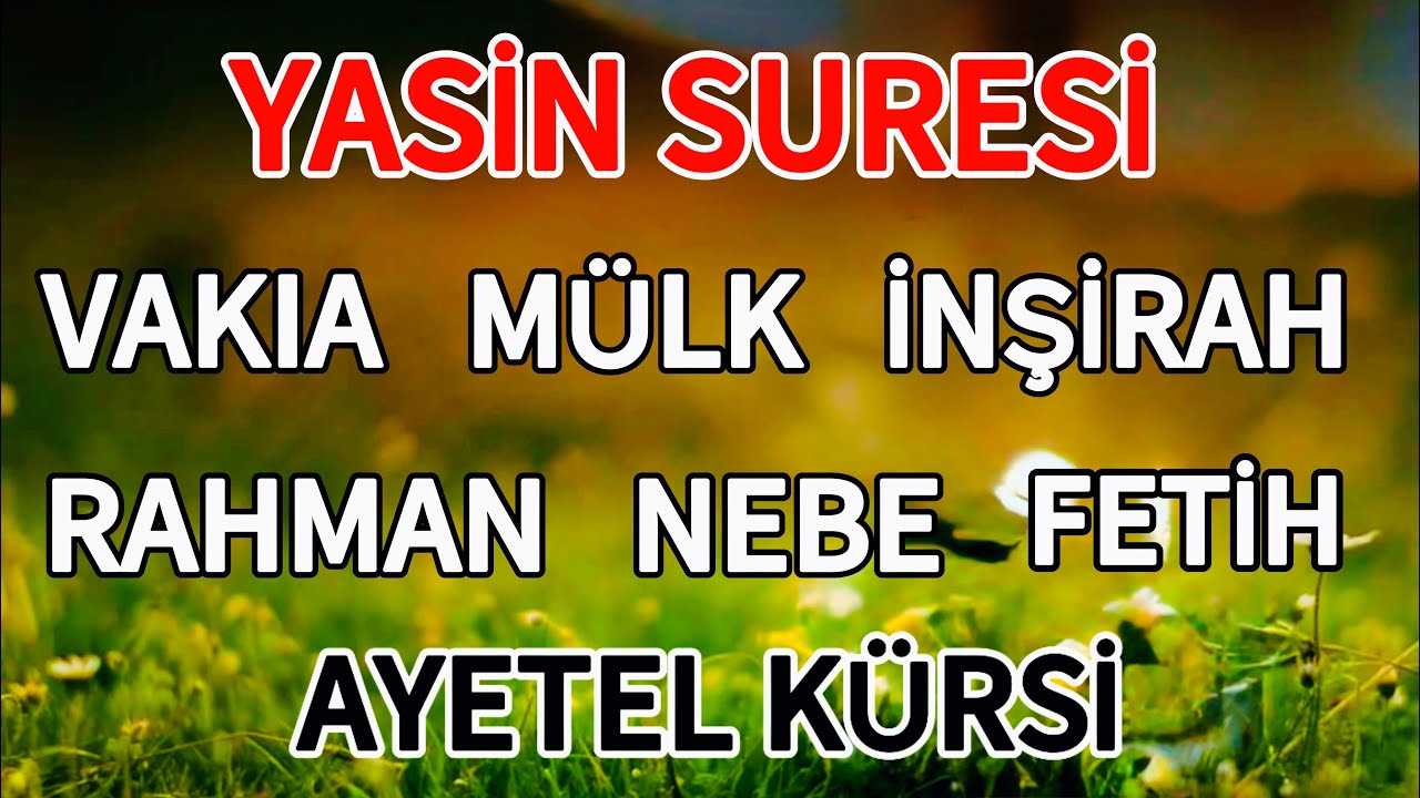 Yasin Suresi - Vakıa Suresi - Mülk - İnşirah Suresi - Rahman - Nebe - Fetih suresi ve Ayetel Kürsi🤲🏻