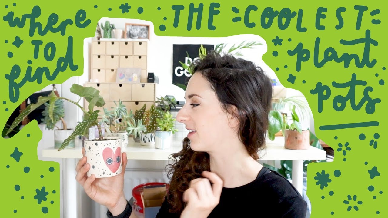 Where to find the coolest plant pots to house your foliage family!