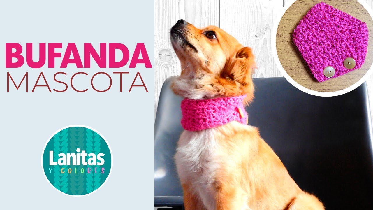 BUFANDA PARA MASCOTAS A CROCHET paso a paso | Lanitas y colores Easy crochet dog scarf