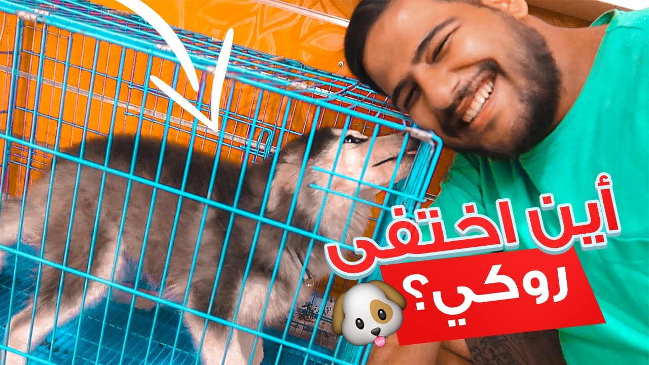 هل روكي مات؟؟!! اين اختفى  روكي 😨🐶