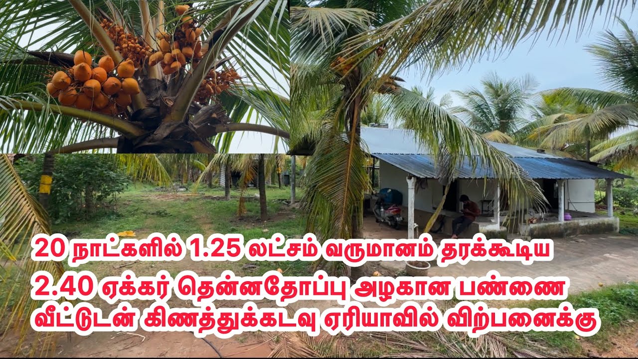 2.40 ஏக்கர் தென்னந்தோப்பு அழகான பண்ணை வீட்டுடன் கிணத்துக்கடவு ஏரியாவில் விற்பனைக்கு 