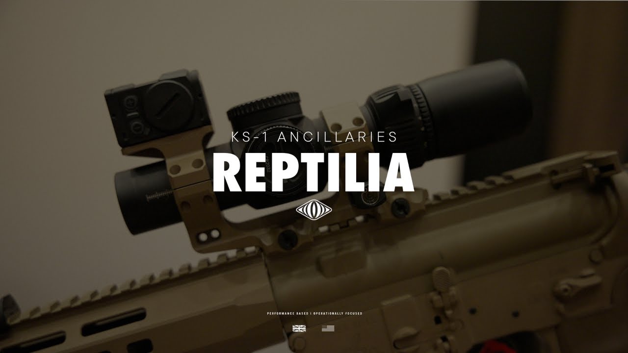 Reptilia переговаривается через свое крепление AUS.