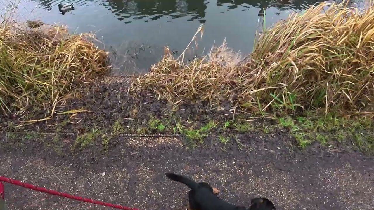 Ep09 Avoiding Puddles
