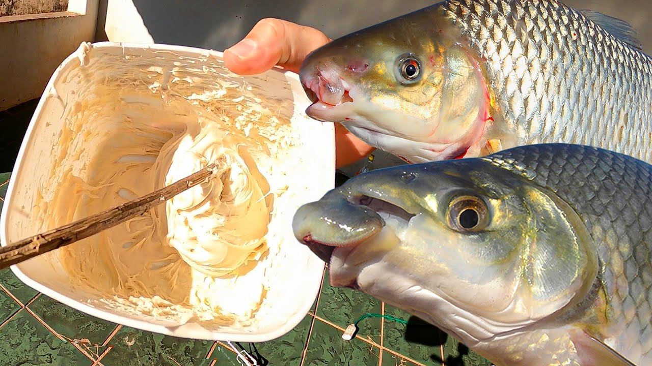 MASSA PRA PESCARIA DE CURIMBA, PIAPARA E PIAU!! Prática e Eficiente (Melequinha)
