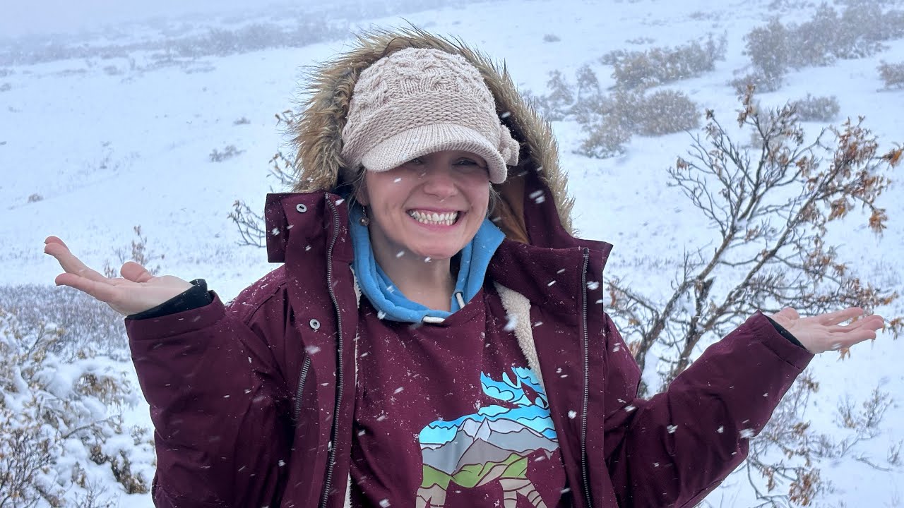 Denali Wilderness Tundra Bus Tour