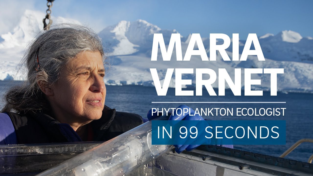 A Scientist's Life in 99 Seconds: Phytoplankton Ecologist Maria Vernet