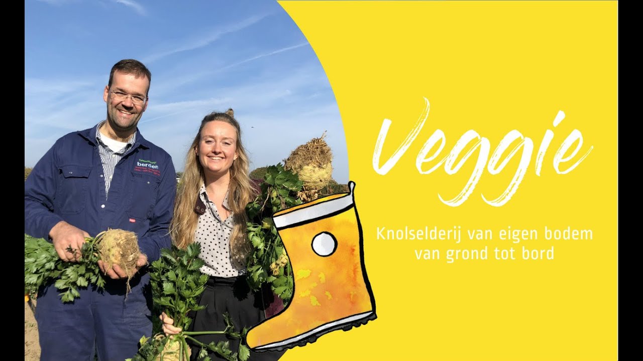 KNOLSELDERIJ van grond tot bord