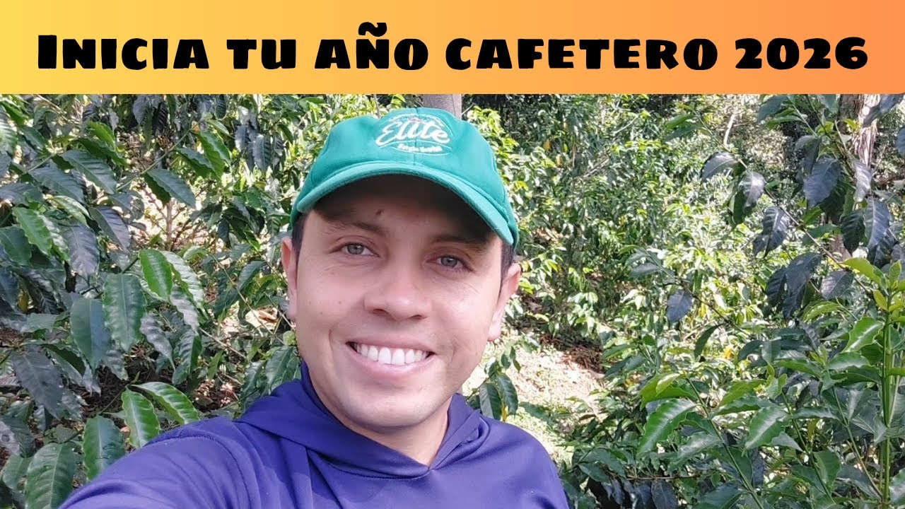 Cómo iniciar tu año cafetero 2026