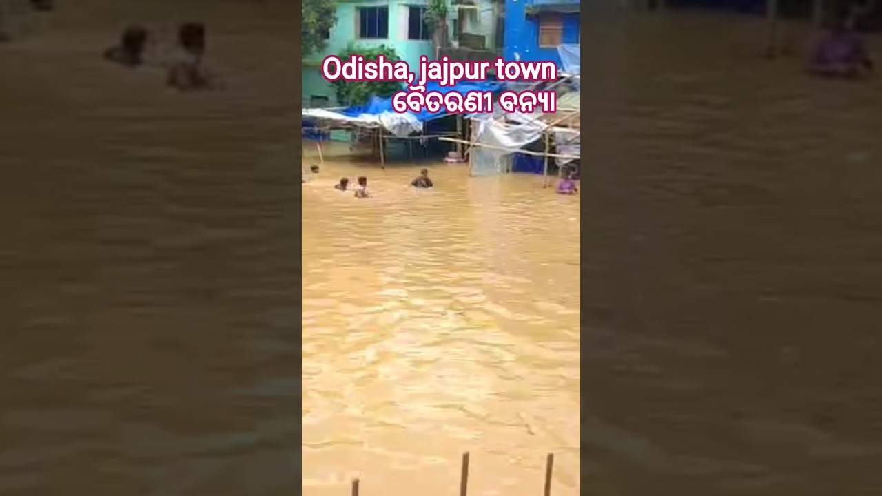 #youtubeshorts #odisha#flood in Jaipur#lifeview#shortvideo #jajpurtown #viralshorts #baitaraniriver