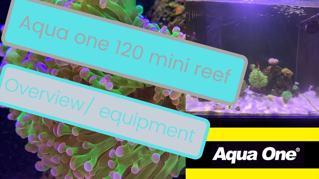 AQUA ONE 120 MINI REEF - overview/equipment