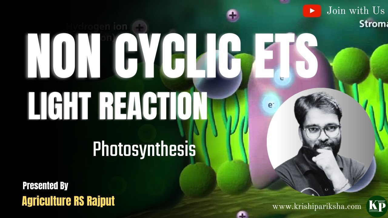 Non cyclic ETS | Z-Scheme | Light reaction | Agriculture Online Classes | Photosynthesis