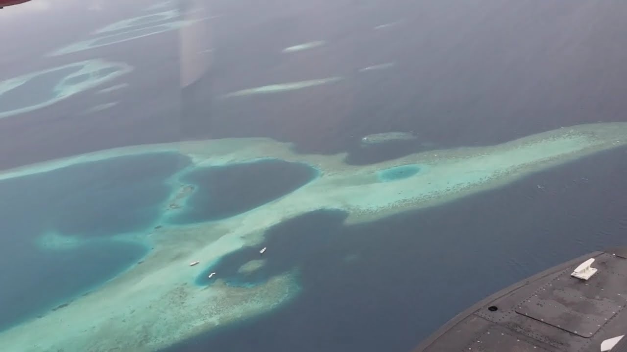 Trans Maldivian Airways Seaplane Flight | Mahibadhoo Nurse Shark Point, South Ari Atoll, June 2025