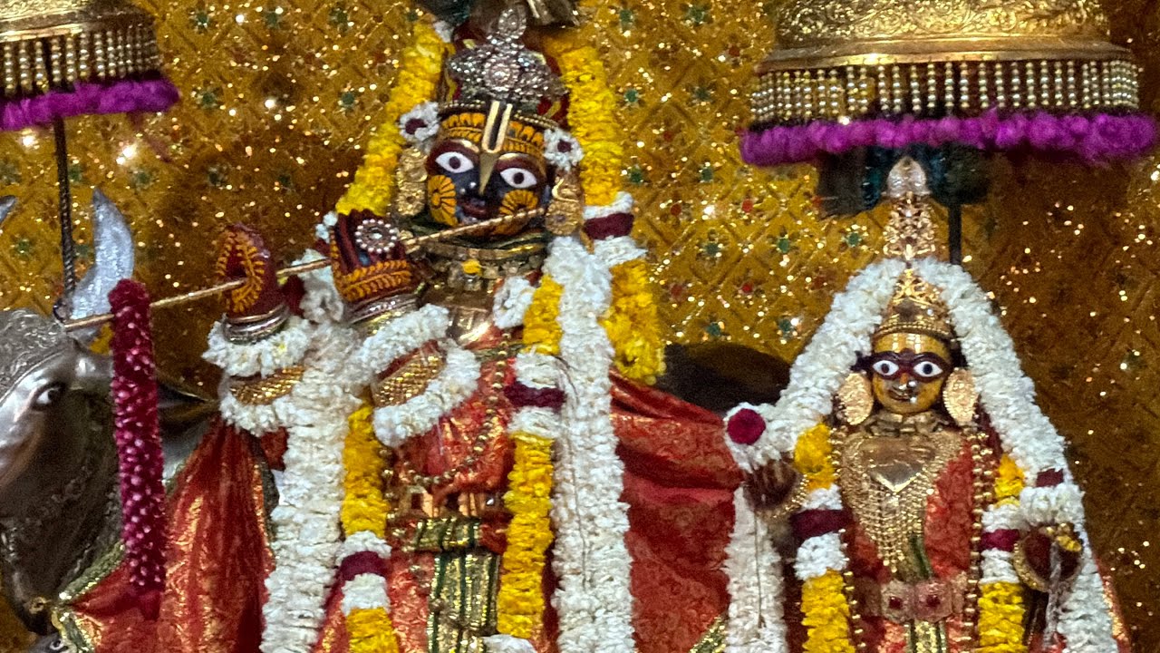 Shri Govind Dev Ji ki Gwal Jhanki श्री गोविन्द देव जी की ग्वाल आरती #11_march_2026 #wednesday #viral