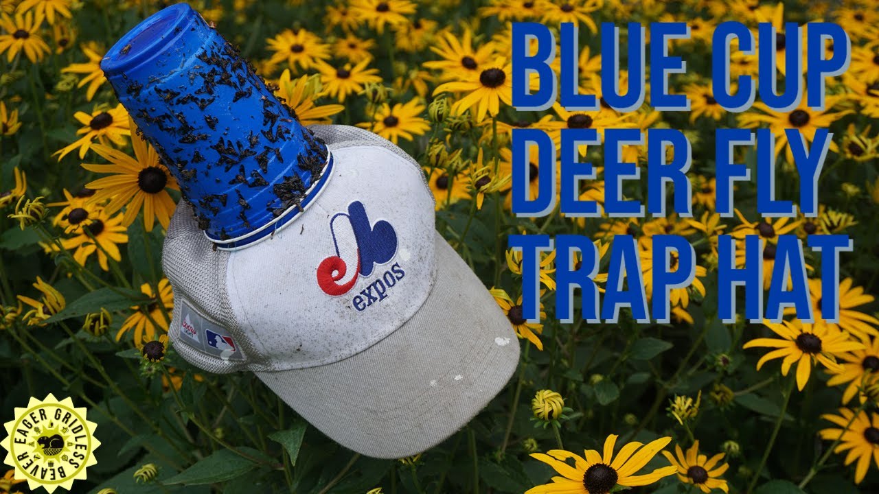 Blue Cup Deer Fly Trap Hat! Catch and Kill Deer Flies!