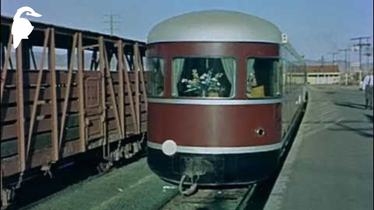 All Manner Of Trains