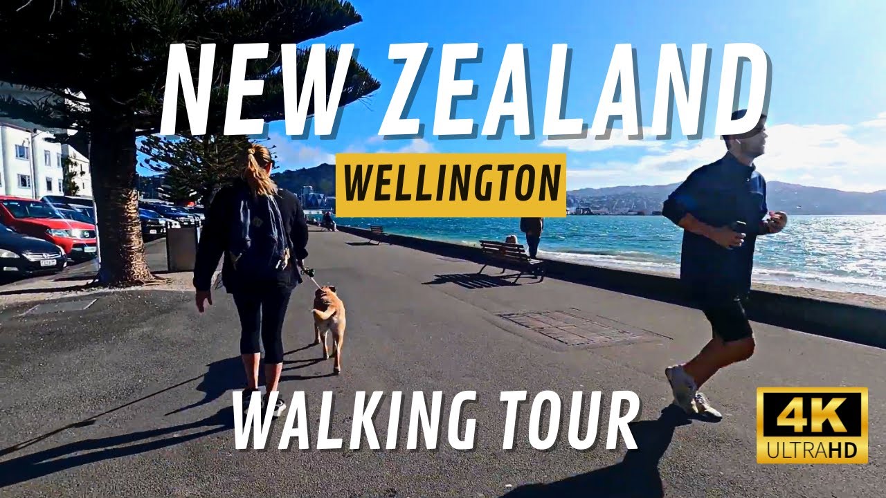 4k 🔴Walking Street Wellington New Zealand