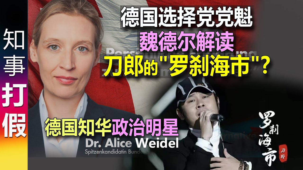 德国选择党AFD党魁 爱丽丝.魏德尔 解读 刀郎的