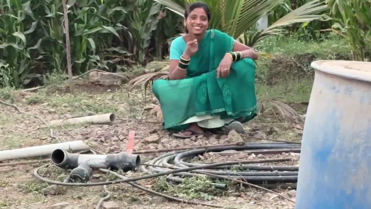 माझी मका विकायची आहे द्यायची नाही पुजाला आणी आबाला ।लय जीव लागला होता पण माझीच माप 😭#गावठीपुनम 
