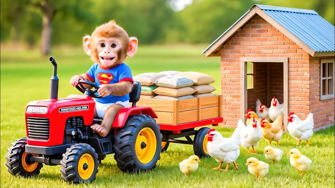 Farm monkey drives tractor carrying building materials to repair chicken coop after fire!