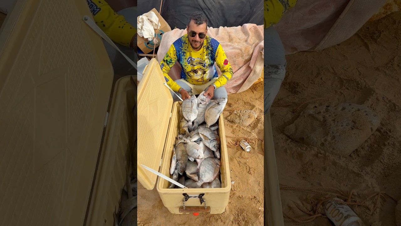خير مولانا اللهم بارك .. عرفتو مول الصوت 😁 ؟؟ كتب فكومونتير إلى عرفتيه 🐟🎣🎣