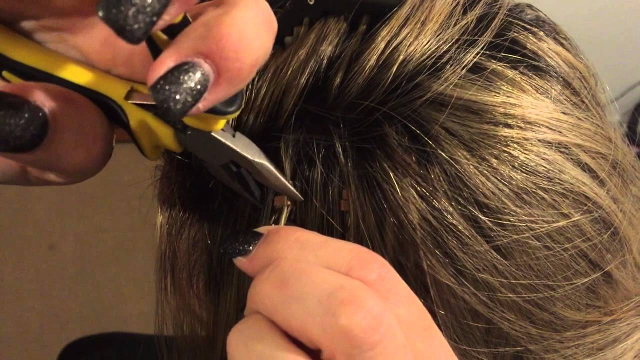 Wild4Feathers:How to Take Your Feathers Out