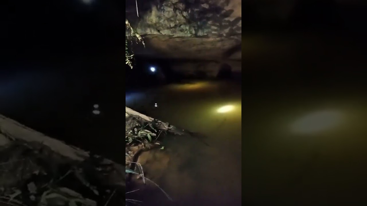 Nyelam dalam gua berbatu #discovery #fypシ゚viral #cave #dailyvlog 
