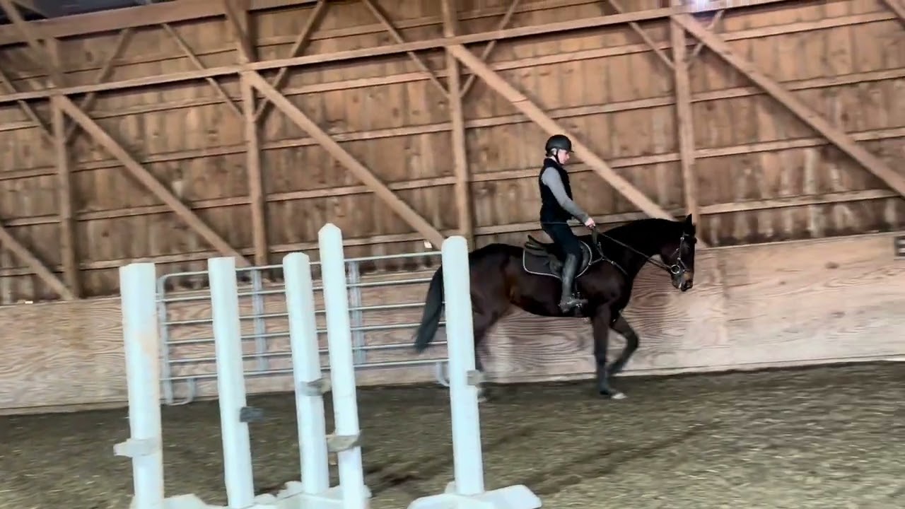 Datesfreedom update ride Feb 27 2026