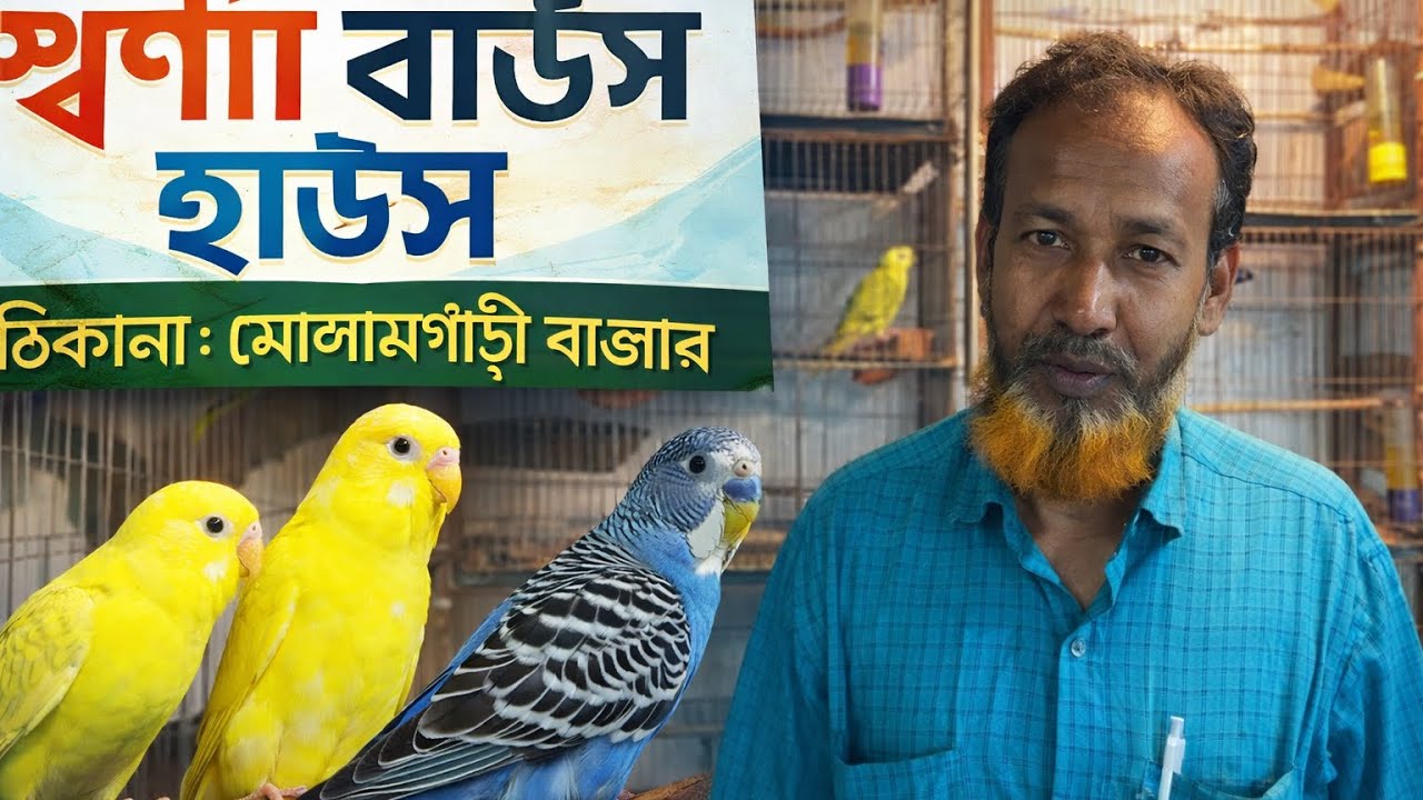মোলামগাড়ী বাজারে নানান প্রজাতির পাখি বিক্রি করছে বুলবুল ভাই|