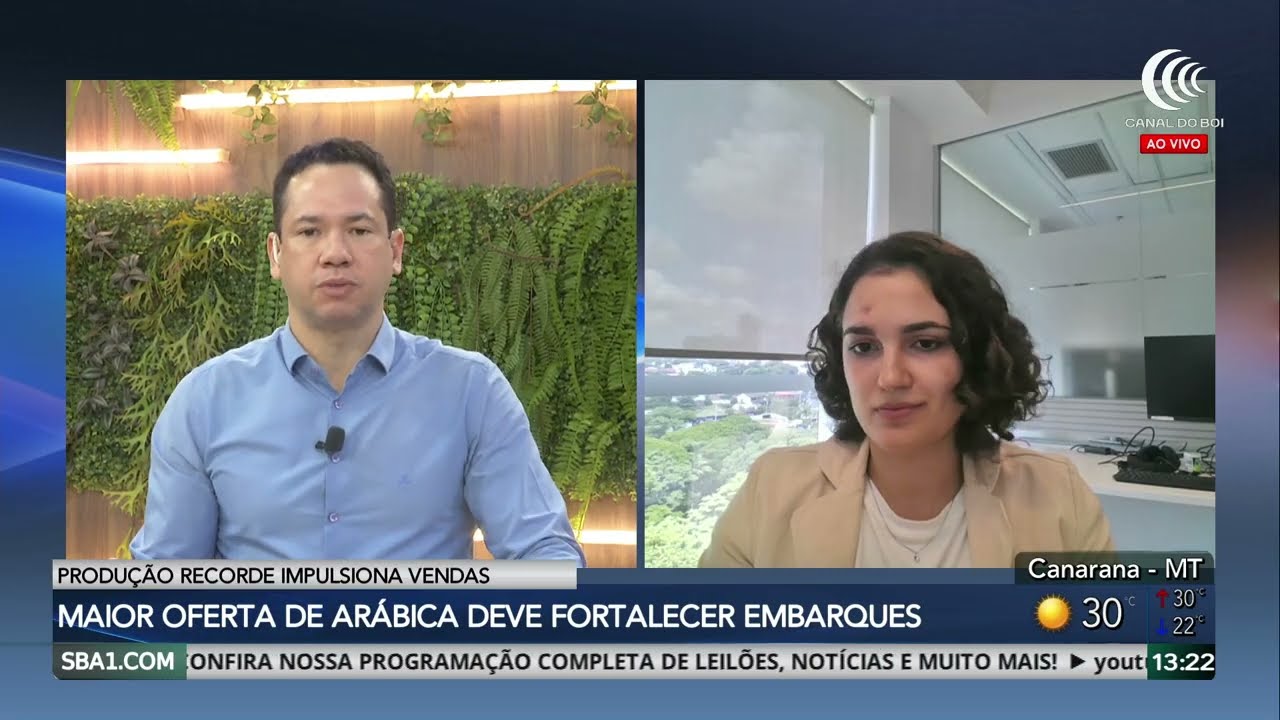 Safra de robusta projeta novo ciclo de oferta elevada de café