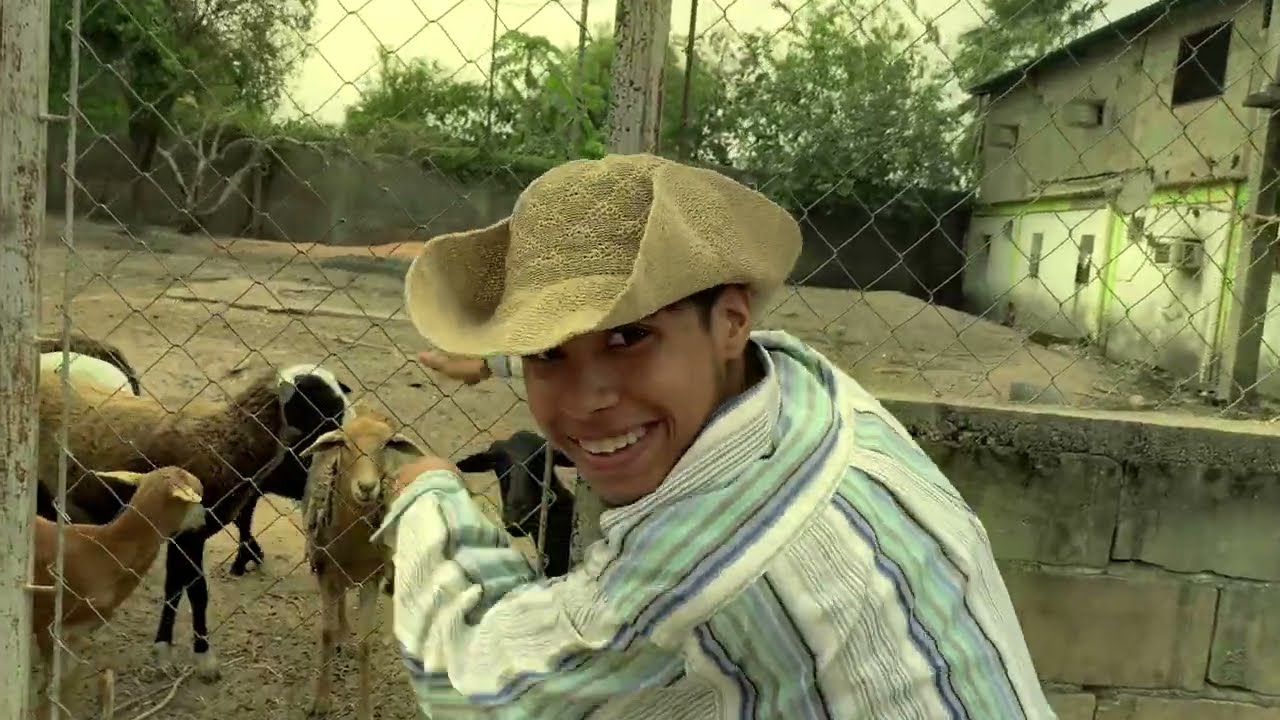 Reyner Marrero - Arrexhisimo (Video Oficial) By RMVisual
