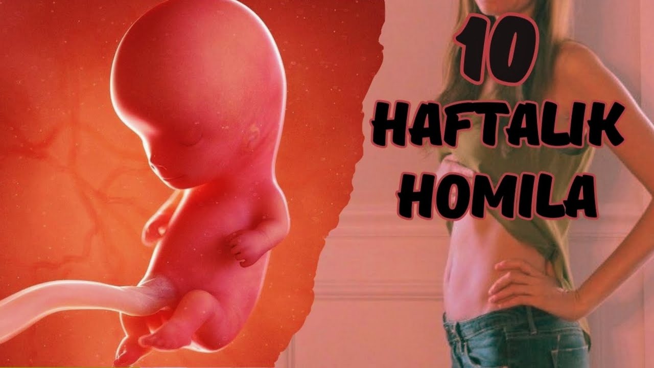 Homiladorlikning 10-haftasi ( 10 HAFTALIK HOMILA)