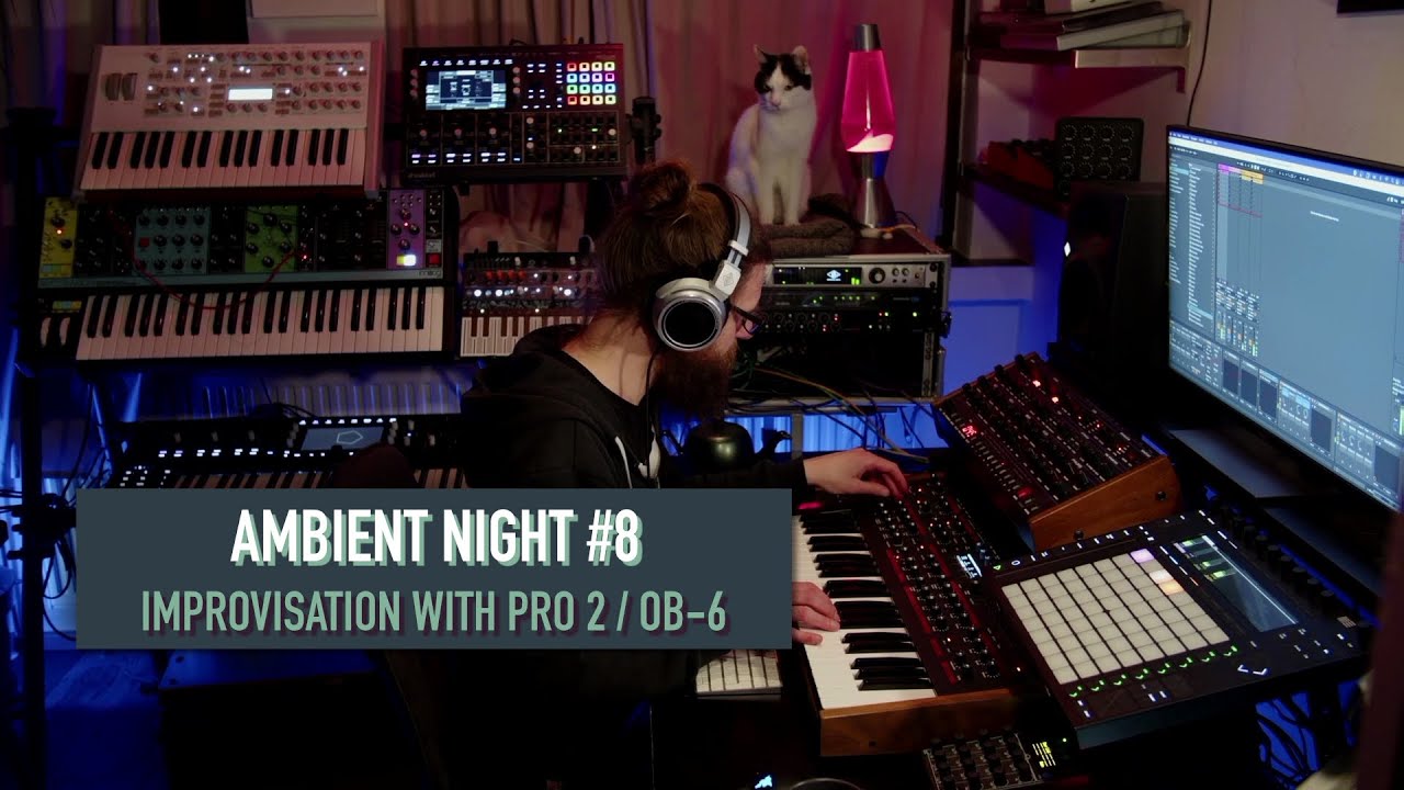 Ambient Night #8 - Improvisation with Pro2, OB-6 and Bioscape