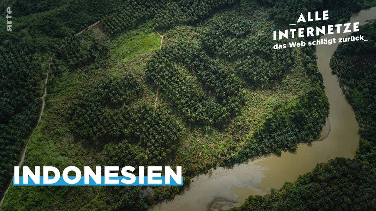 SOS, Wald in Not &ndash; Alle Internetze &ndash; ARTE