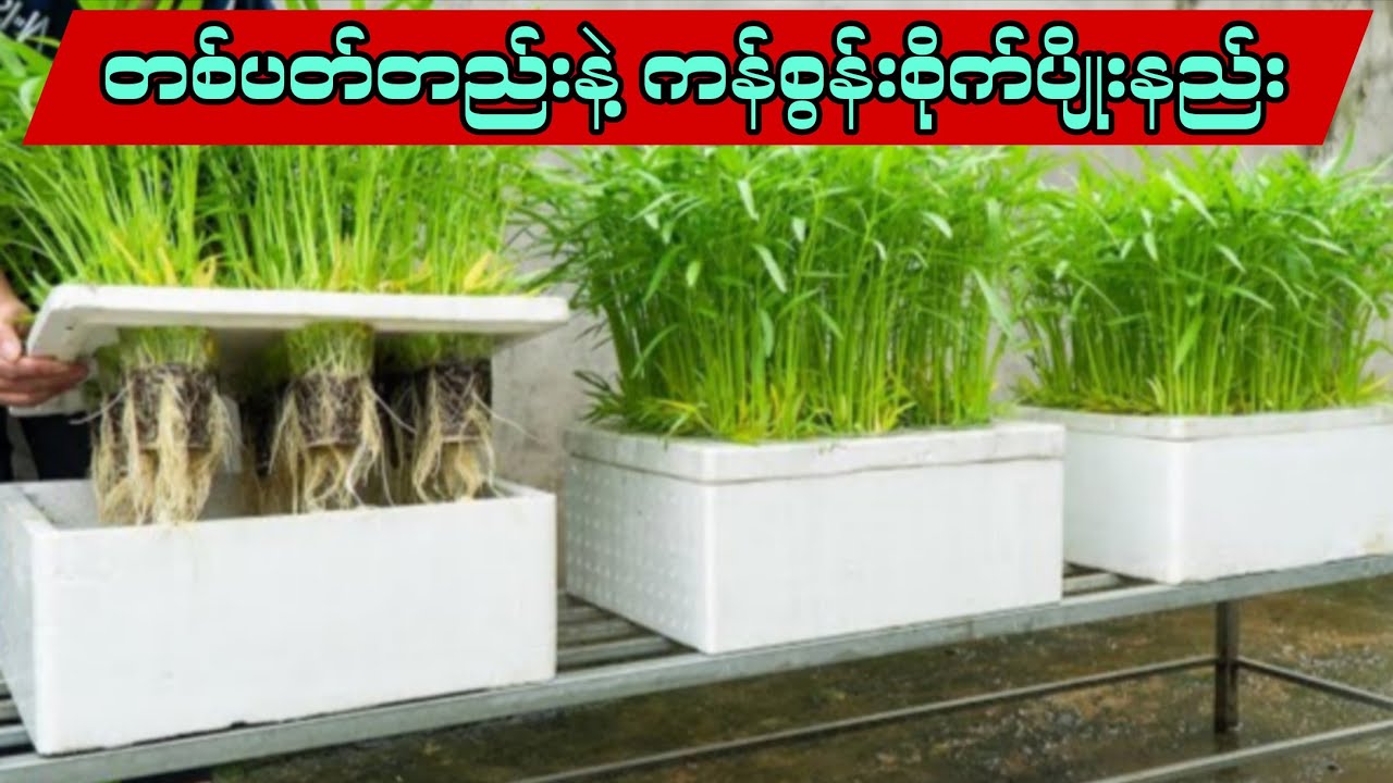 တစ်ပတ်တည်းနဲ့ 