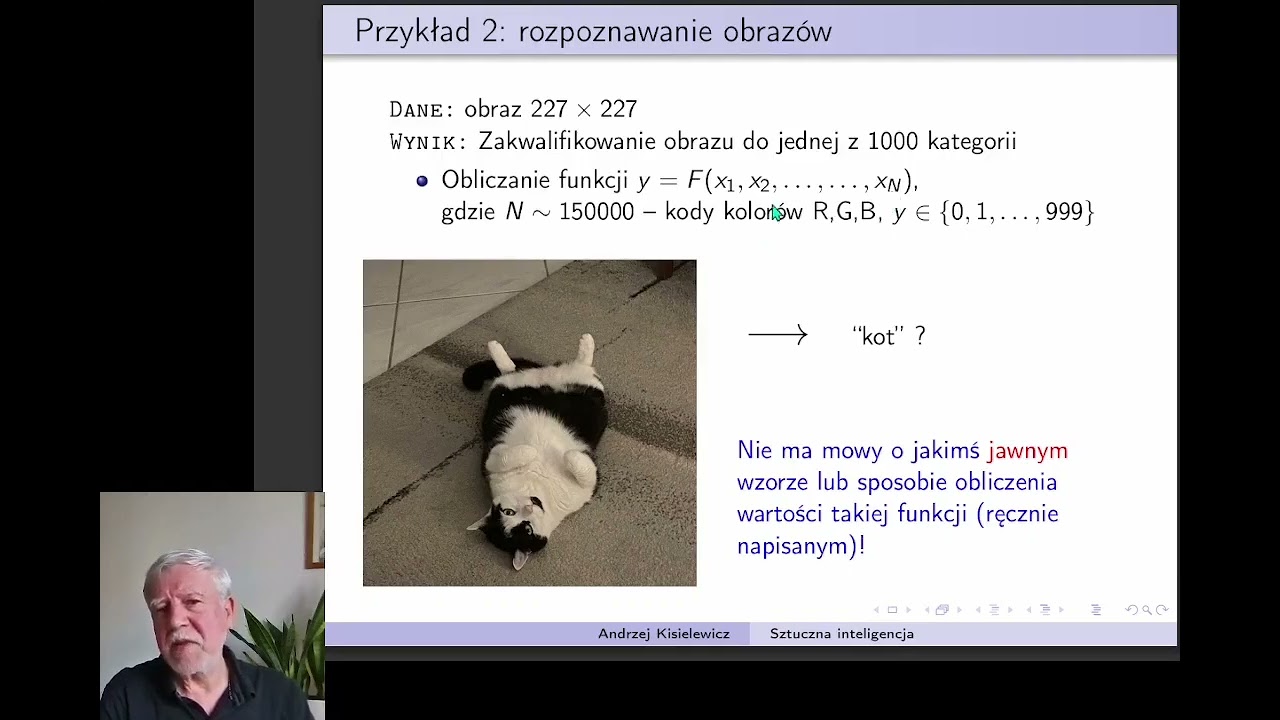 Czym są i jak działają sieci neuronowe (cz. 2 serii 
