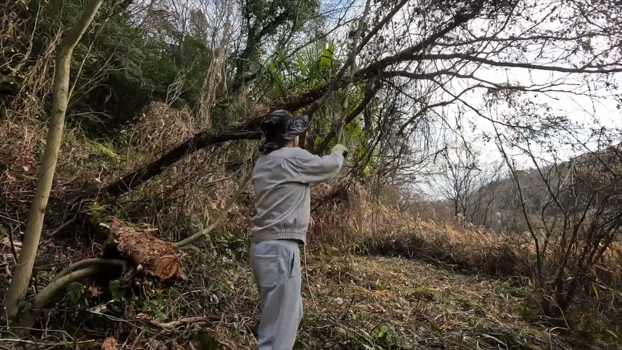 10倍速で山開拓