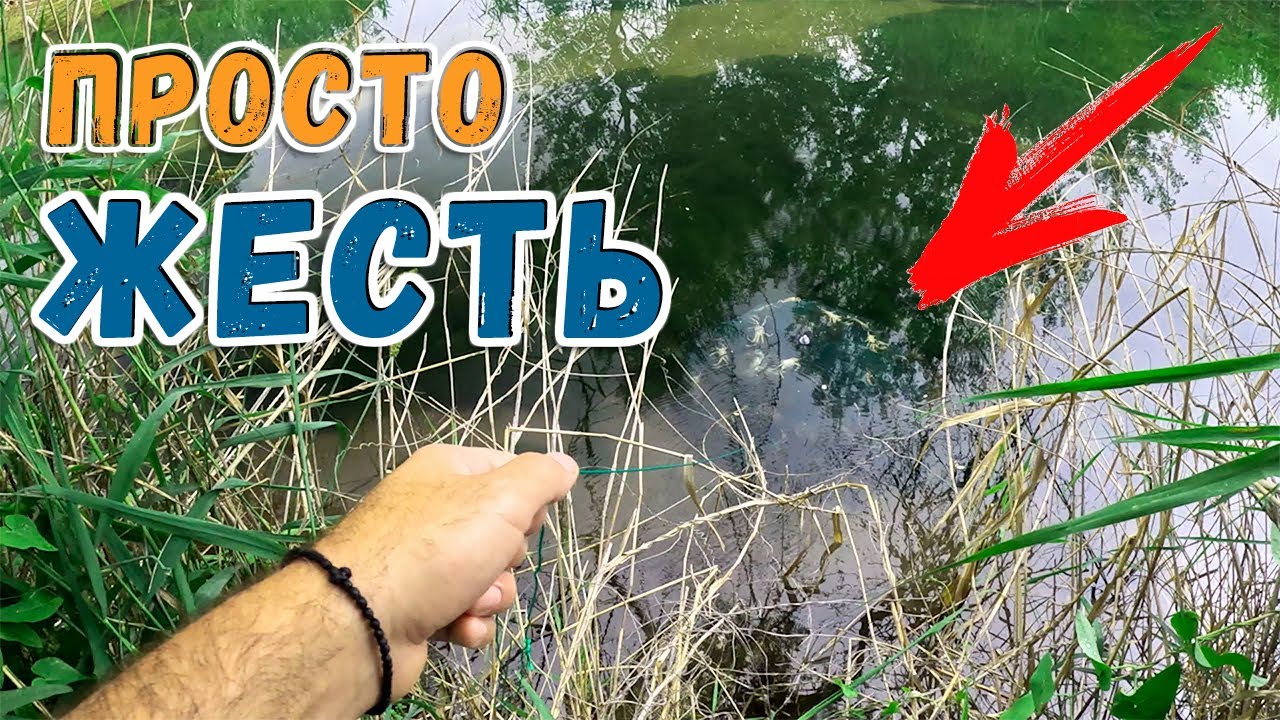 ВОТ ЭТО Я ПОРЫБАЧИЛ ! | Рыбалка на раколовки в Греции.