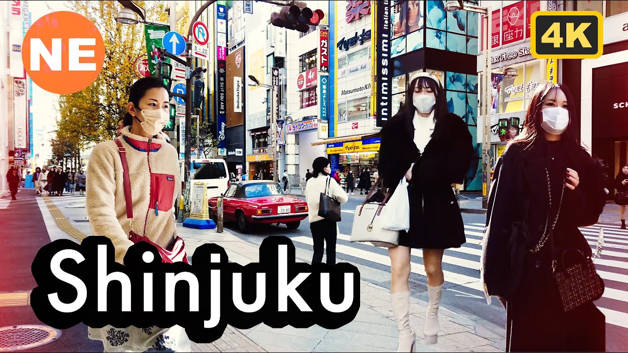 Japan, Tokyo -  Autumn Shinjuku Walk 4K