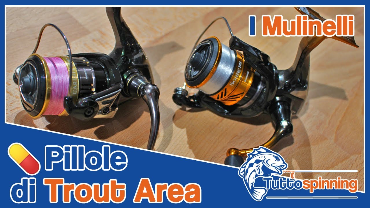TROUT AREA 🎣 QUALE MULINELLO USARE? 💊 Pillole di Trout Area