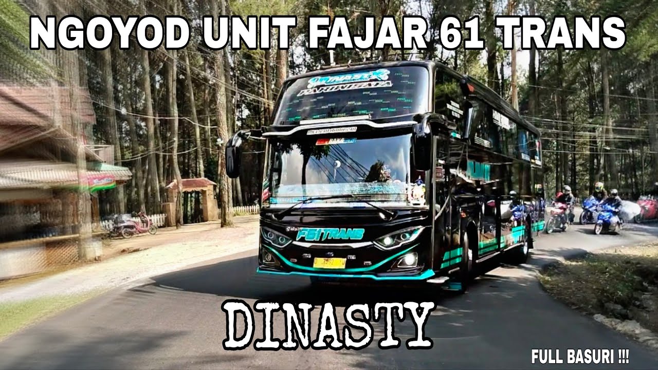 FAJAR 61 TRANS DINASTY | full gacor basurinya manteman ✨