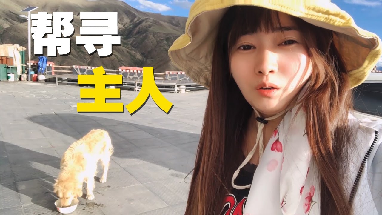 自驾西藏4600海拔无人地，又遇到一只疑似被遗弃的狗，喂它吃喝帮它寻找主人